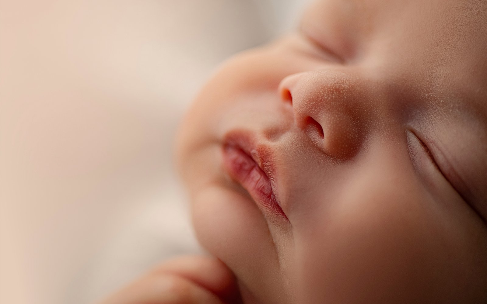 WORKSHOP/ PHOTOBABY MASTERCLASS 2026 BUCARAMANGA COLOMBIA - Imagen 3